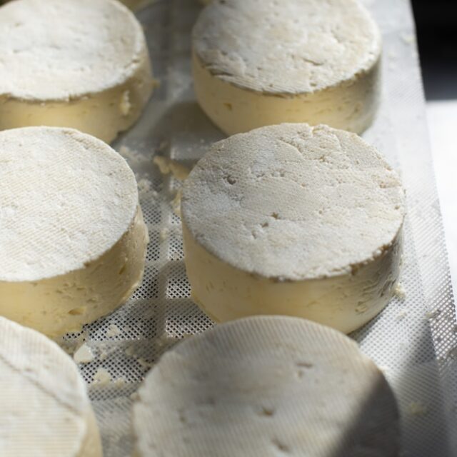 093ad6b269a5fc143878bf6a6d83cc11