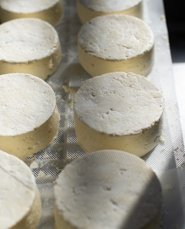 093ad6b269a5fc143878bf6a6d83cc11