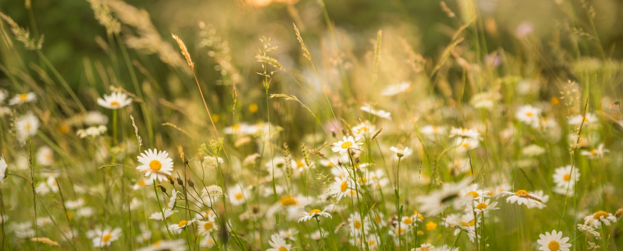 4fc25156a743c6642130cd09c0bc489d